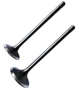 Valvulas CG200 Jgo Adm/esc Seguro Abajo Con Sellos Protech